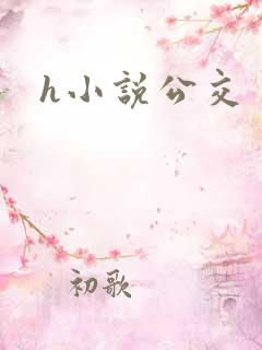 h小说公交