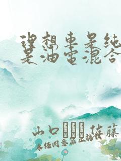 理想车是纯电还是油电混合