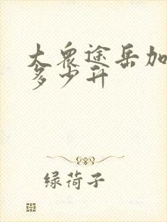 大众途岳加满油多少升