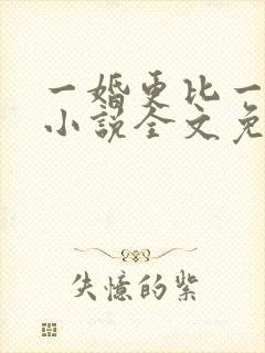 一婚更比一婚高小说全文免费