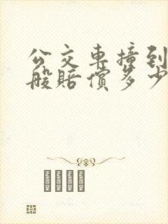 公交车撞到人一般赔偿多少
