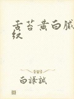 舌苔黄白腻有裂纹