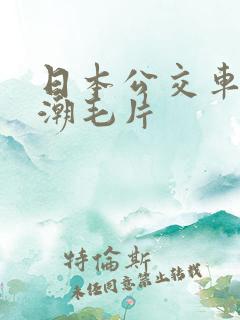 日本公交车上高潮毛片