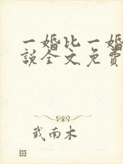 一婚比一婚高小说全文免费阅读