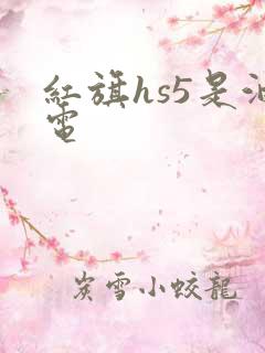 红旗hs5是油电
