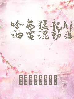 哈弗猛龙hi4油电混动落地价