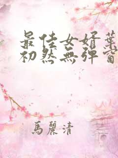 最佳女婿叶辰萧初然无弹窗