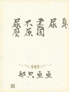 尿不尽尿臭是什么原因