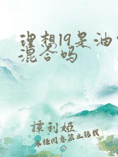 理想l9是油电混合吗