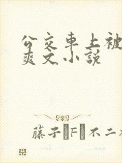 公交车上被强上爽文小说