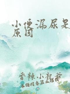 小便漏尿是什么原因