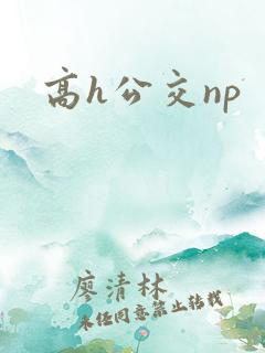 高h公交np
