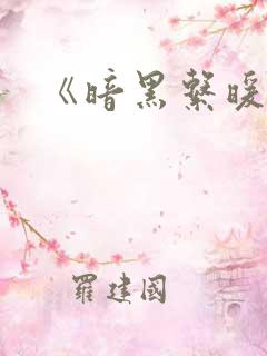《暗黑系暖婚》
