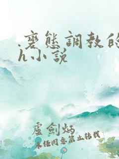 .变态调教的高h小说