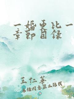 一婚更比一婚高章节目录