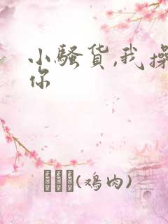 小骚货,我操死你
