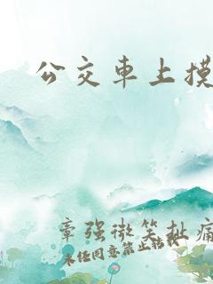 公交车上摸b