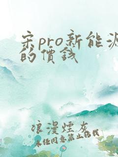 宋pro新能源的价钱