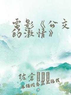 电影《公交车上的激情》
