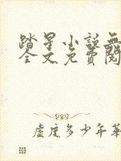 踏星小说无弹窗全文免费阅读