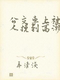 公交车上被陌生人摸到高潮视频