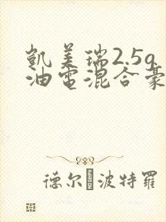 凯美瑞2.5g油电混合豪华版