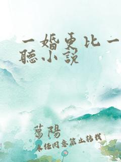 一婚更比一婚高听小说