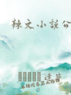 辣文小说公车