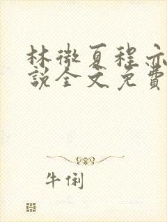 林微夏程亦风小说全文免费