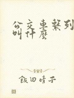 公交车系列小说叫什么