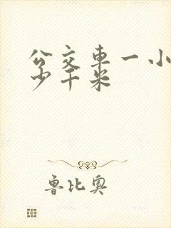 公交车一小时多少千米