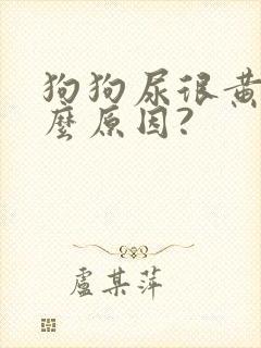 狗狗尿很黄是什么原因?