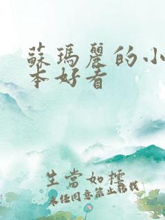 苏玛丽的小说哪本好看