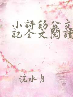 小诗的公交车日记全文阅读