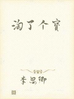 淘了个宝