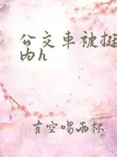 公交车被挺进体内h