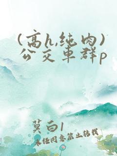 (高h,纯肉)公交车群p