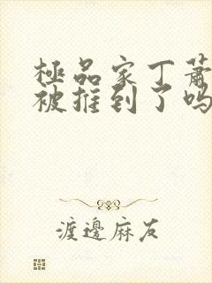 极品家丁萧夫人被推到了吗