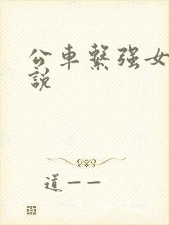 公车系强女d小说