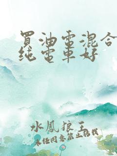 买油电混合还是纯电车好