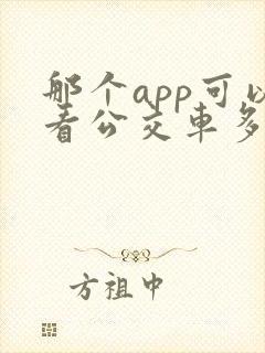 那个app可以看公交车多久到站的软件