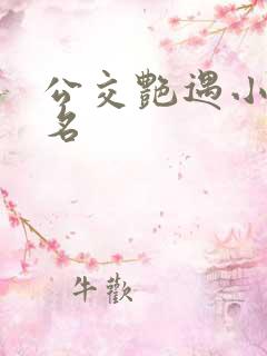 公交艳遇小说书名
