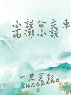 小说公交车被上高潮小说