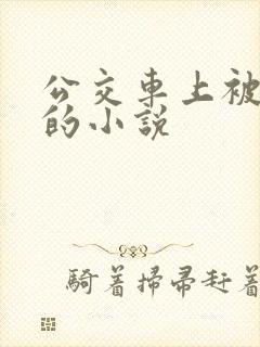 公交车上被玩弄的小说