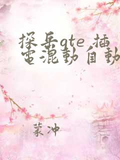 探岳gte 插电混动自动档价格