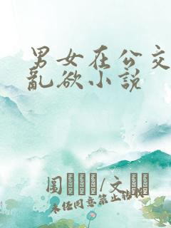 男女在公交车上乱欲小说