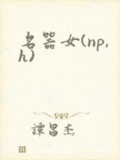 名器女(np,h)