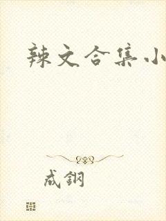 辣文合集小说h