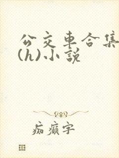 公交车合集高潮(h)小说