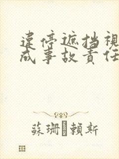 违停遮挡视线造成事故责任划分